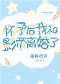 怀孕后我和影帝离婚了番外