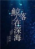 鲸落在深海讲的是什么故事