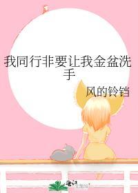 我同行非要让我金盆洗手风的铃铛