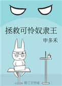 拯救可怜奴隶王无弹窗