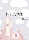 认真的胡闹介绍
