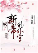 成了新帝的外室 番外