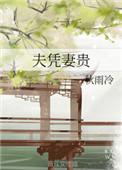 夫凭妻贵意思