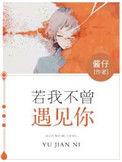 如果我不曾遇见