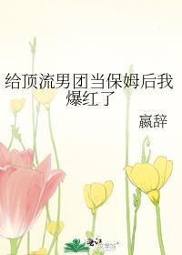给顶流男团当保姆后我爆红了晋江