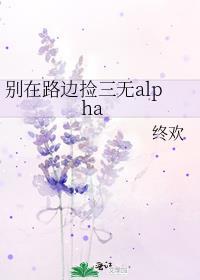 别在路边捡三无alanp