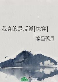 被招婿了 方便面君 免费