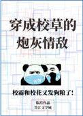 穿成校草得炮灰情敌