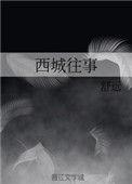 西城往事简介
