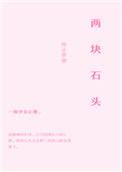 两块石头的故事视频播放