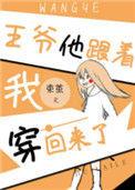 王爷他跟着我穿回来了 作者舒雀乘
