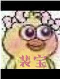 裴宝岩秦皇岛