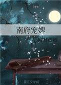 南府宠婢资源