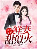 重生九零鲜妻火辣辣小梅子著