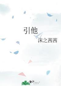 吲达帕胺降压药