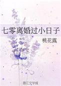 七零离婚过小日子百度