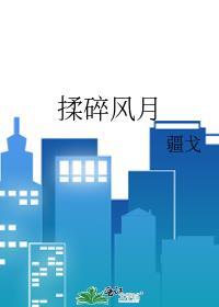 揉碎风月txt