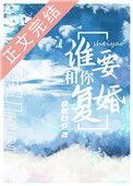 谁要和你复婚无防盗