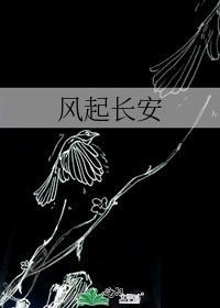 风起长安谋断动漫第二季