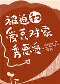 被迫和爱豆对家秀恩爱流星无弹窗