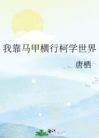 我靠马甲横行柯学世界晋江