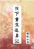 陛下重生追妻记荔枝香菜