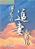 傅总的追妻火葬场无