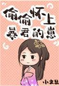 偷偷怀上暴君的崽 晋江