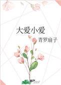 大爱小爱的意思