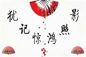 犹记惊鸿照影来徽羽