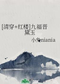 清穿红楼九福晋黛玉笔趣阁