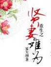 重生之贤妻难为(雾矢翊)最新章节