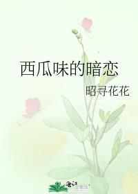 西瓜味饮料大全图片