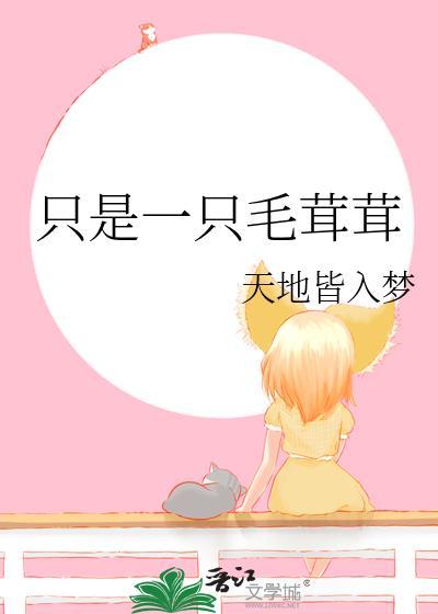 只是一只毛茸茸的狗