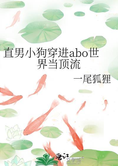 直男穿到晋江文学