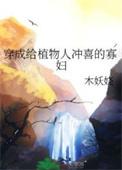 穿成植物人冲喜的寡妇免费阅读全文