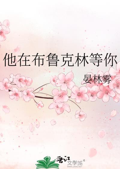 他在布鲁克林等你免费阅读