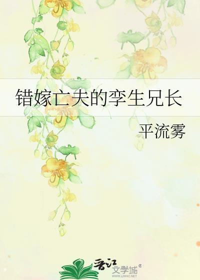 错嫁亡夫的孪生兄长作者平流雾