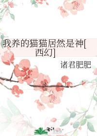 我养的猫都是大佬