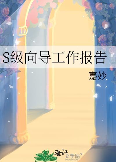 s级向导工作报告by