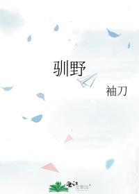 驯野袖刀免费笔趣阁
