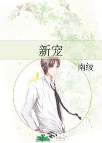 新宠英文