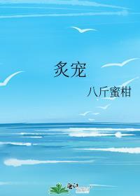 炙宠晋江