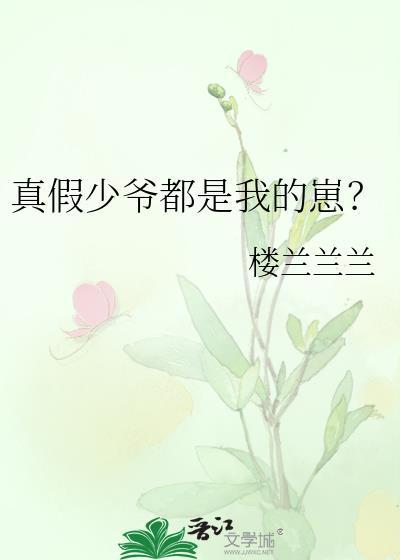 真假少爷宠爱文