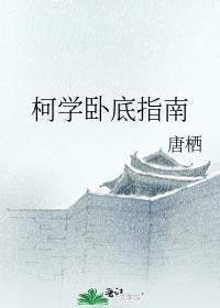 柯学卧底指南作者