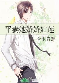 平妻百度百科