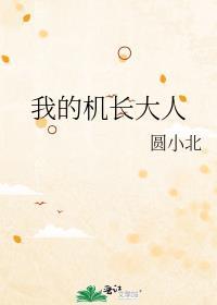 我的机长大人txt