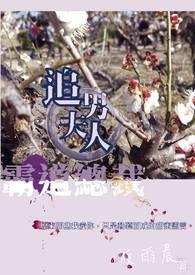 霸道总裁追妻记