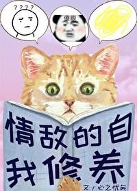 我的情敌是自己是腐剧吗