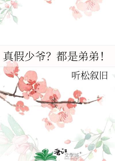 真假少爷?都是弟弟的